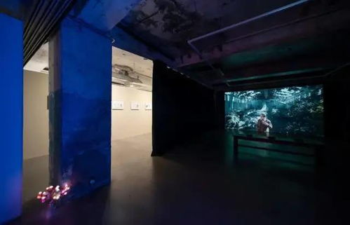王拓 近期展览