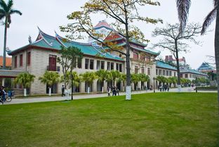 文艺城市,文艺游