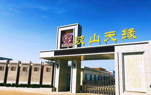 想学吗 我教你 因为醋做得太好,岐山这个厂被宝鸡三部门点名推荐