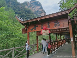 豪芳团旅行记
