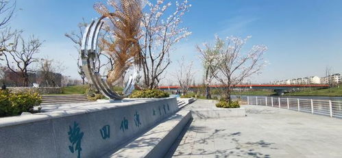 美翻了 无锡新赏樱胜地,约起来